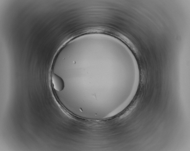 X0000115090802200911241212