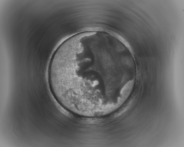 X0000115090803200911241212