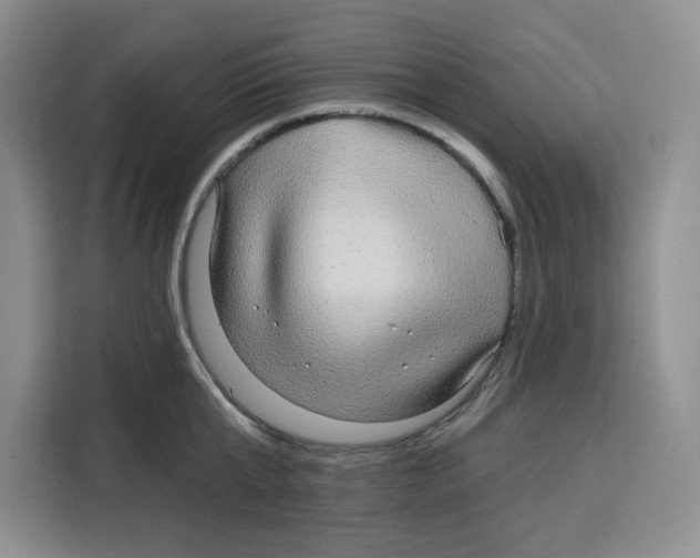 X0000115090807200911241212