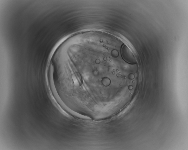 X0000115090812200911241212