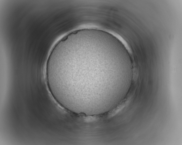 X0000115090815200911241212