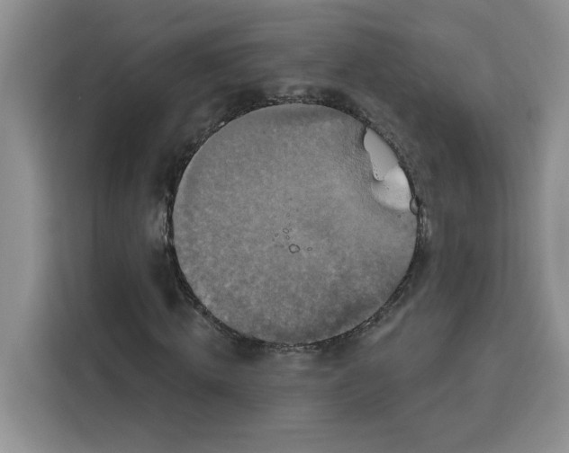X0000115090820200911241211
