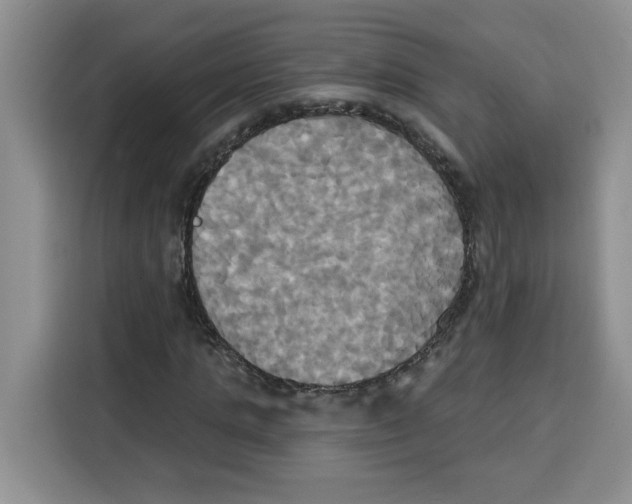 X0000115090821200911241211