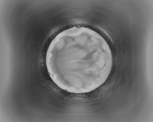 X0000115090823200911241211
