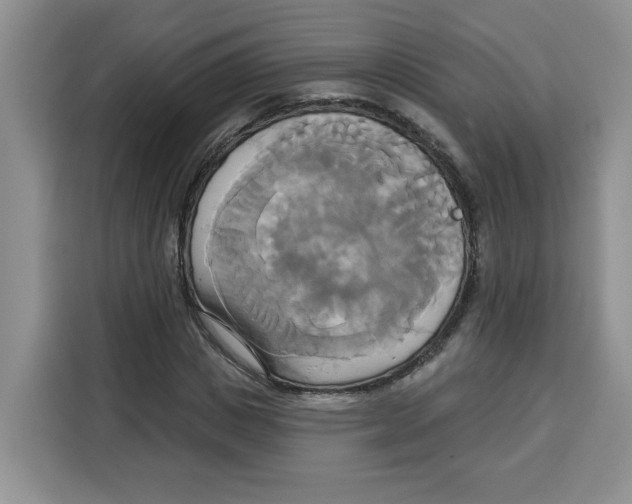 X0000115090825200911241211