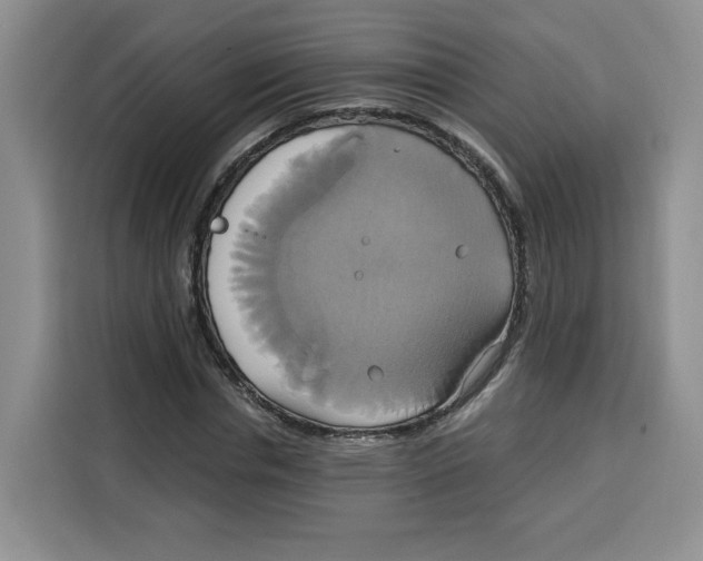 X0000115090826200911241211
