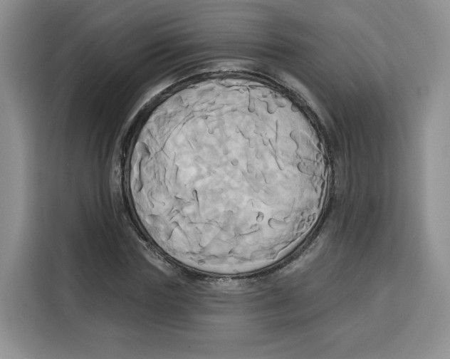 X0000115090827200911241211