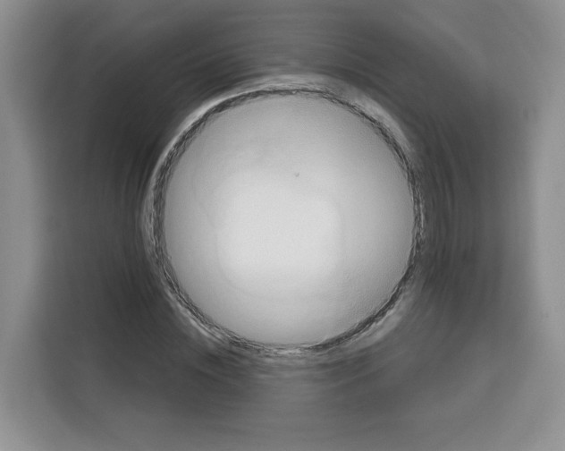 X0000115090828200911241211