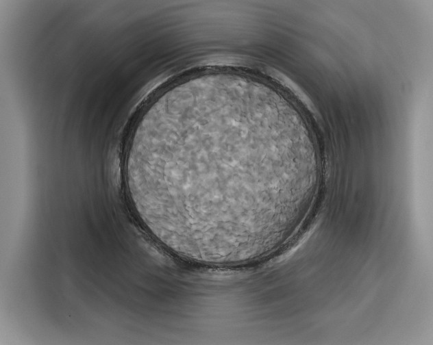 X0000115090829200911241211