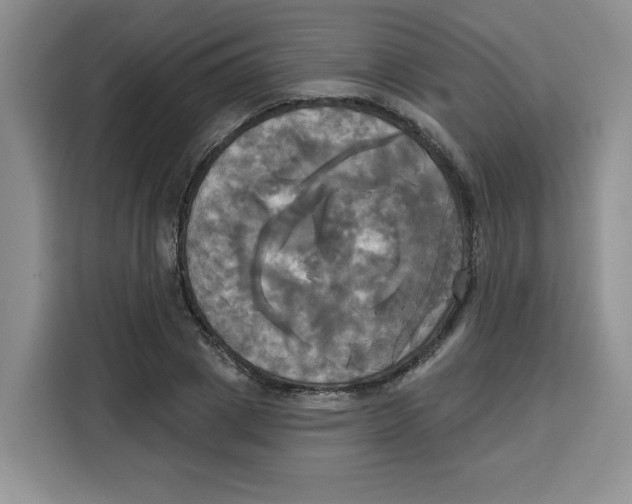 X0000115090833200911241212