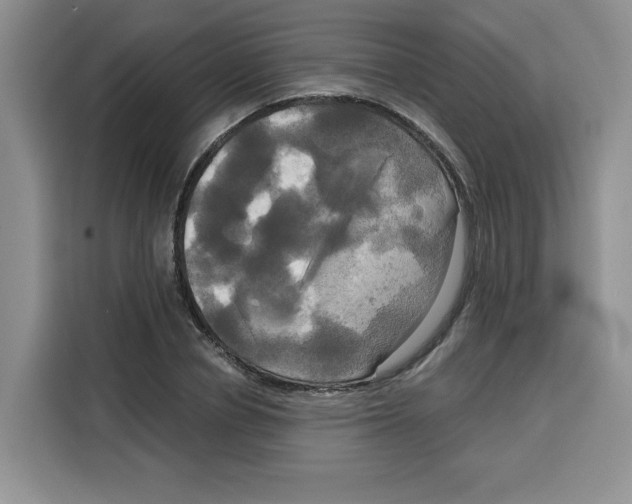 X0000115090834200911241212
