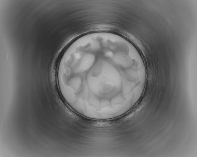 X0000115090835200911241212