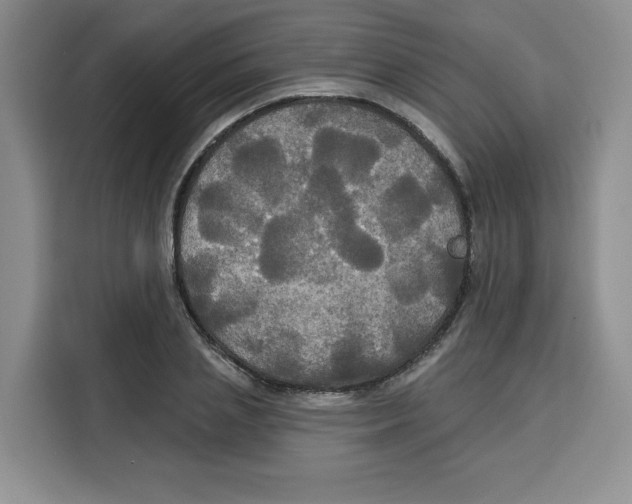 X0000115090837200911241212