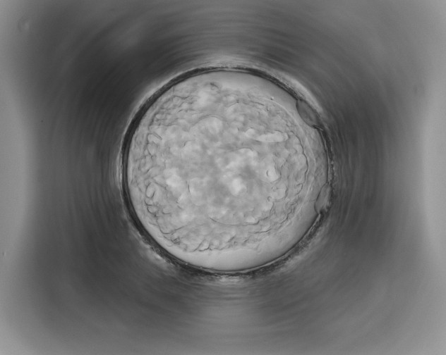 X0000115090839200911241212