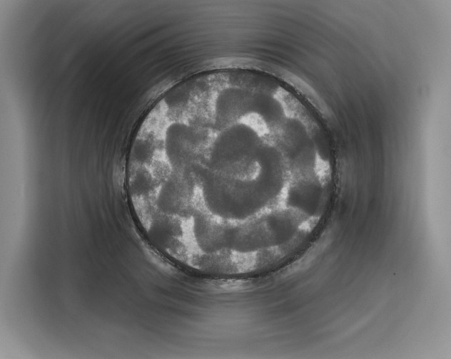 X0000115090841200911241212