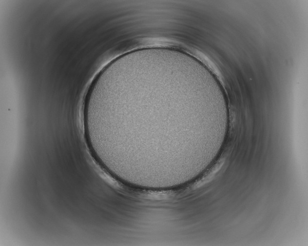 X0000115090843200911241212