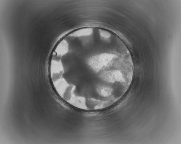 X0000115090846200911241212