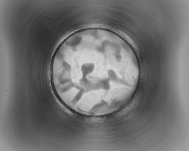 X0000115090847200911241212