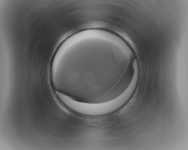 X0000115090850200911241212
