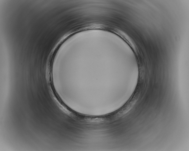 X0000115090851200911241212