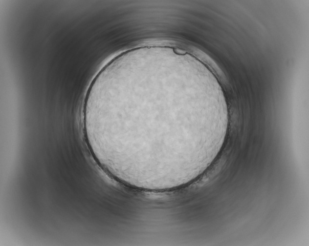X0000115090852200911241212