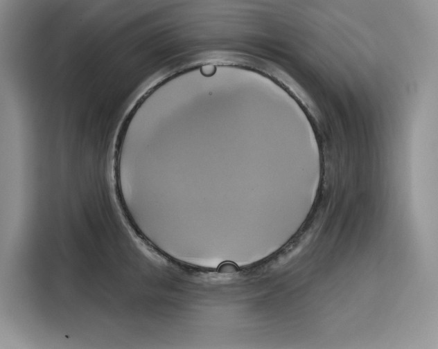 X0000115090853200911241212