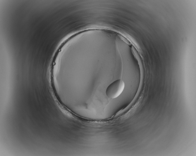X0000115090854200911241212