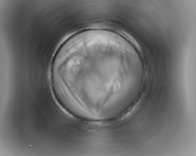 X0000115090855200911241212