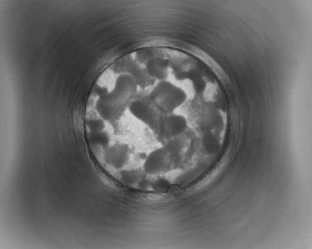 X0000115090857200911241212