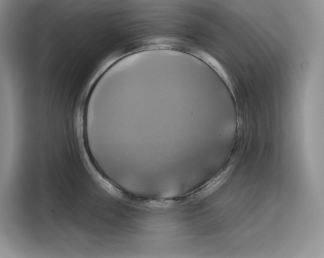 X0000115090859200911241212
