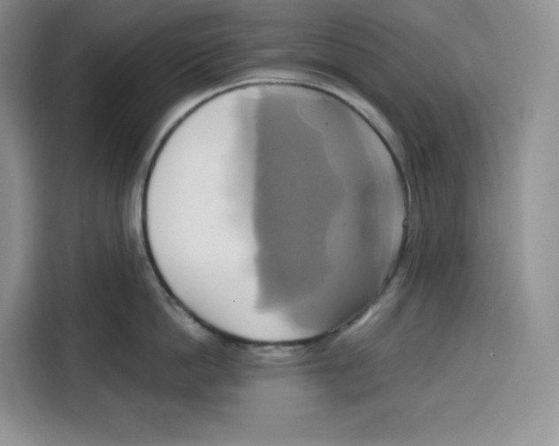 X0000115090862200911241212