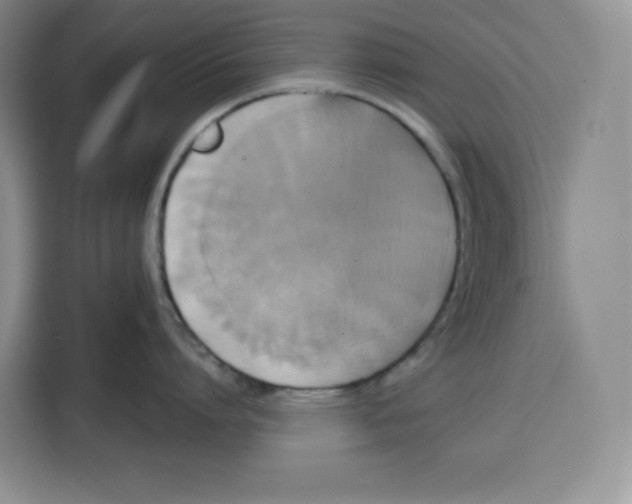 X0000115090864200911241212