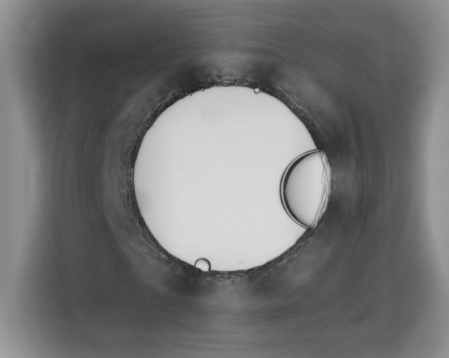 X0000115090865200911241211