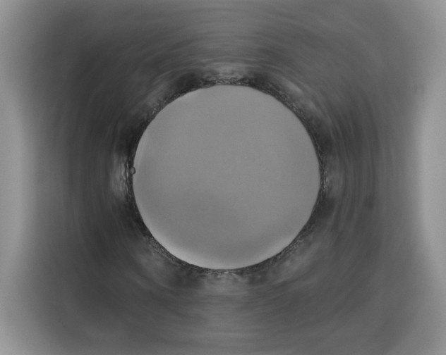 X0000115090866200911241211