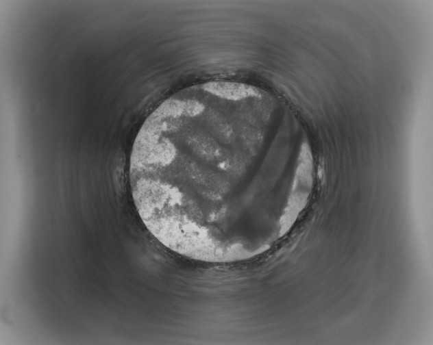 X0000115090867200911241211
