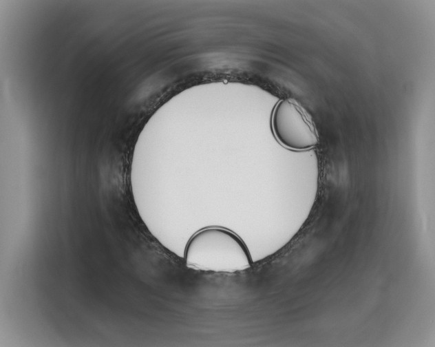 X0000115090869200911241211