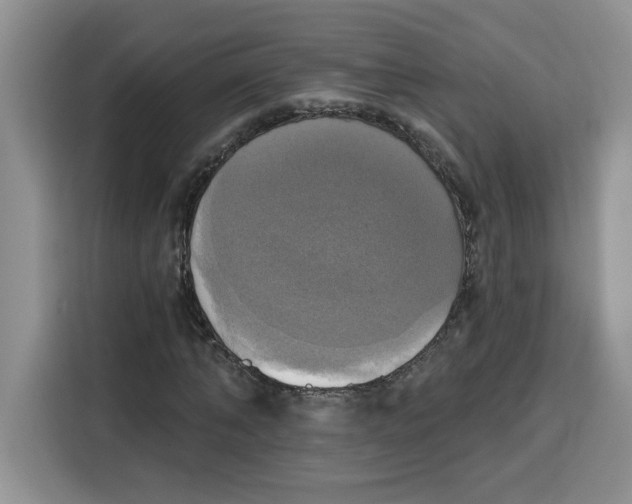 X0000115090870200911241211
