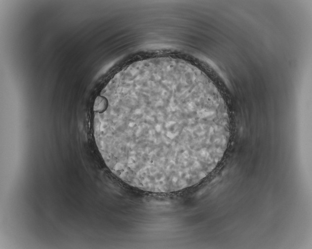 X0000115090871200911241211