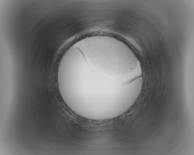 X0000115090872200911241211