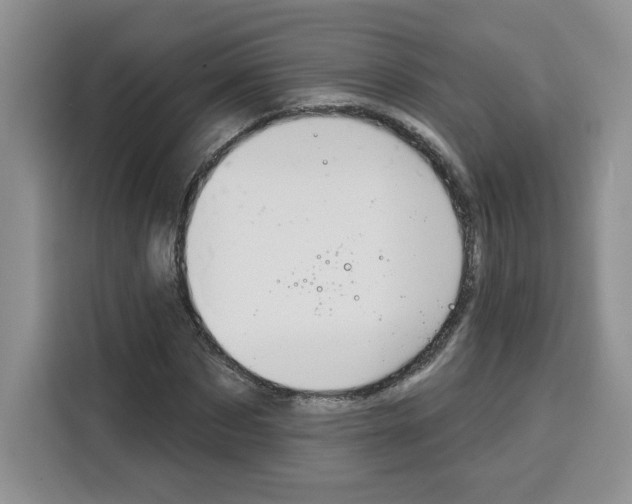 X0000115090873200911241211