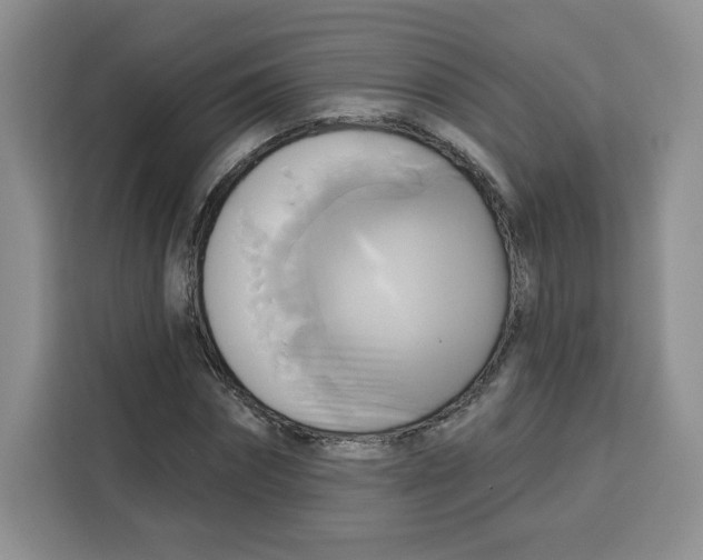 X0000115090874200911241211