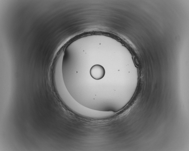X0000115090877200911241211
