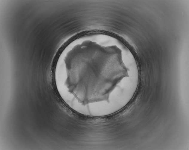 X0000115090879200911241211