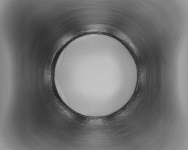X0000115090882200911241211
