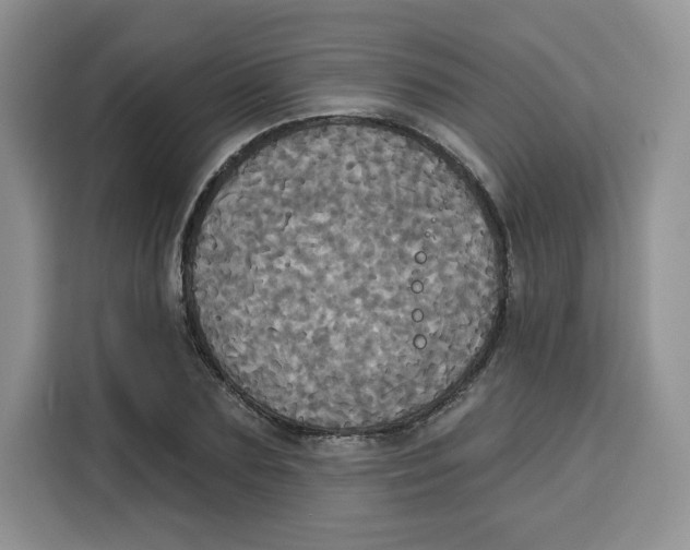 X0000115090883200911241211