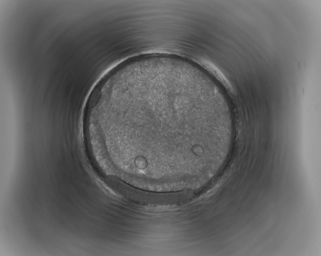X0000115090884200911241211