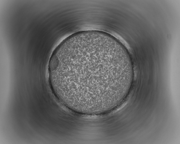 X0000115090885200911241211