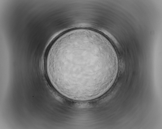 X0000115090886200911241211
