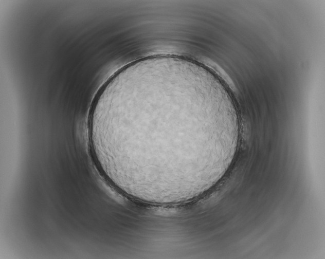 X0000115090890200911241211