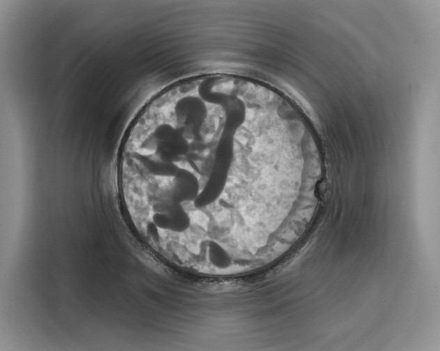 X0000115090891200911241211